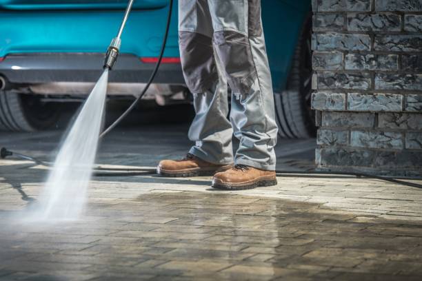 Best Soft Washing  in Home Gardens, CA