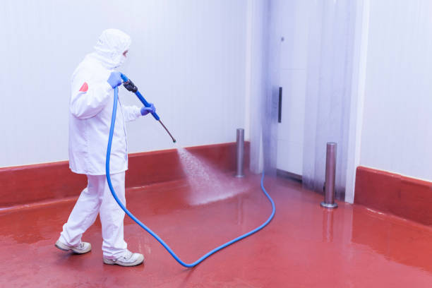 Best Playground Equipment Cleaning  in Home Gardens, CA